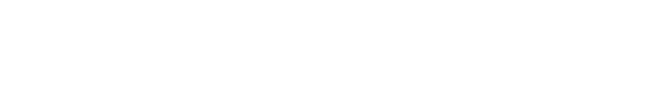 Scandic IT